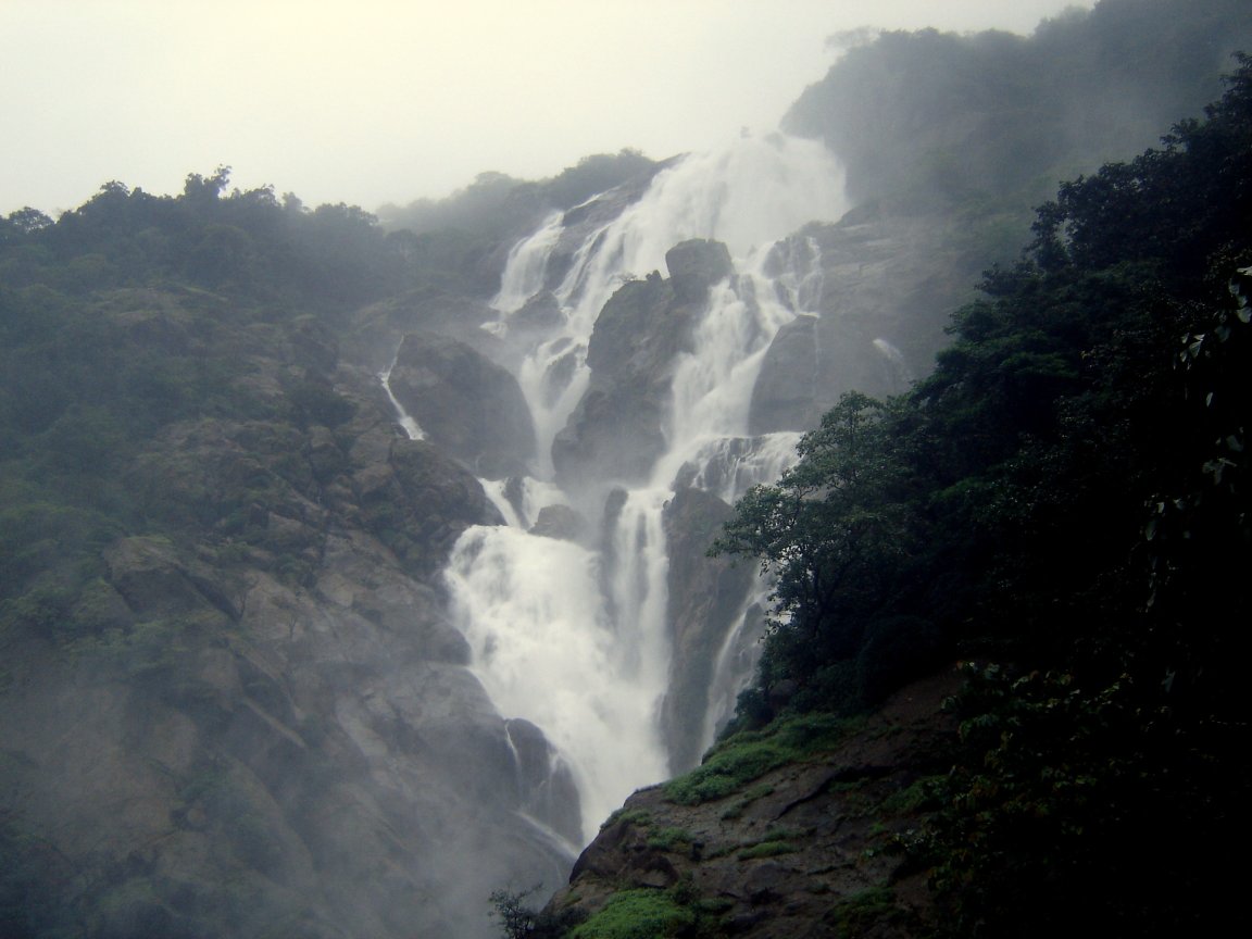 DSC00430 Dsc00430