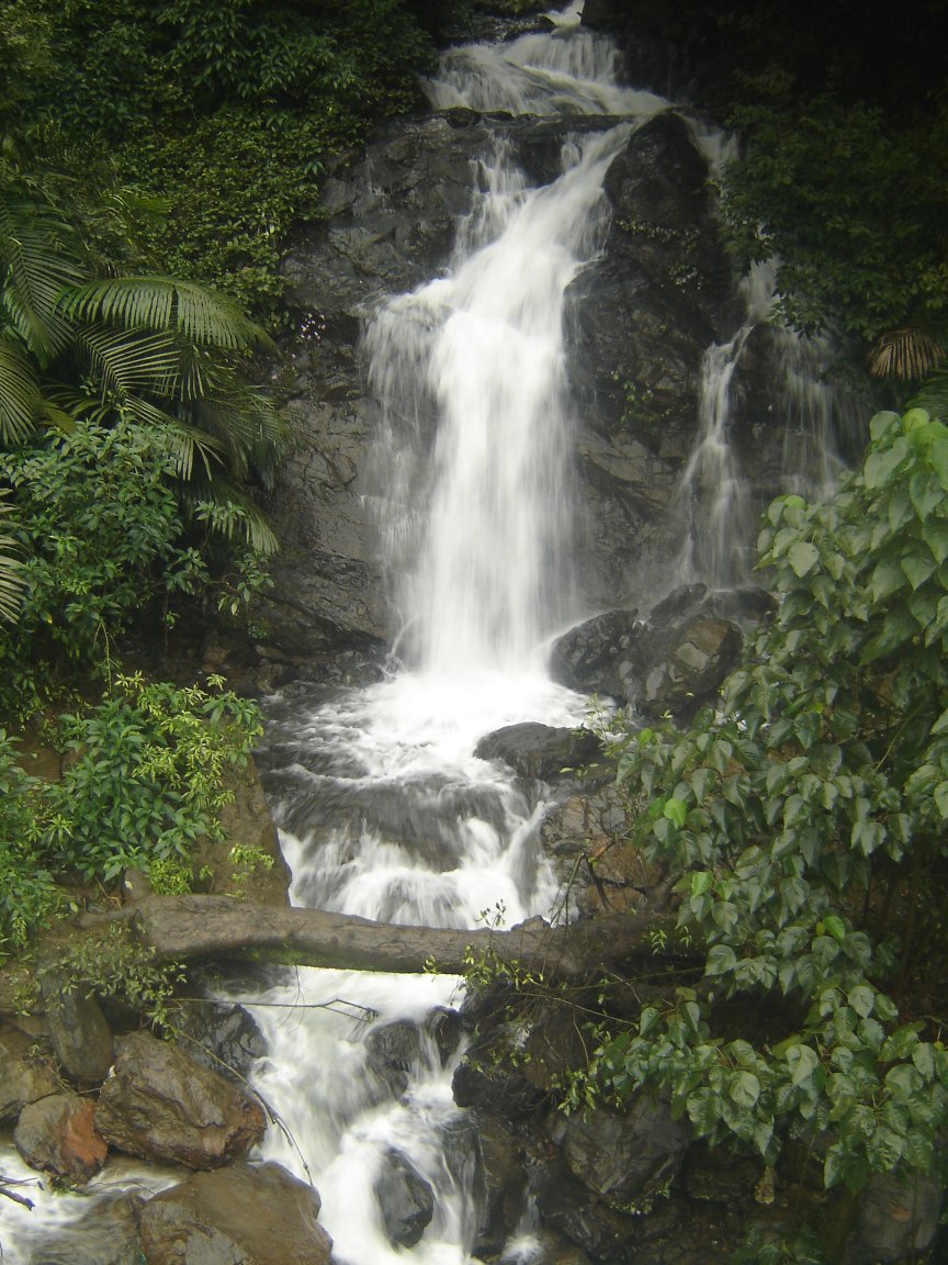 DSC00475 Dsc00475