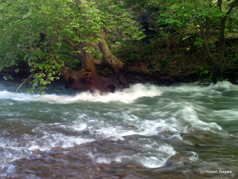 DSC00557 Dsc005573