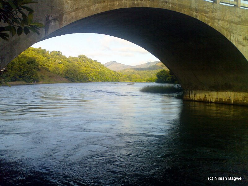 DSC00561 Dsc005613