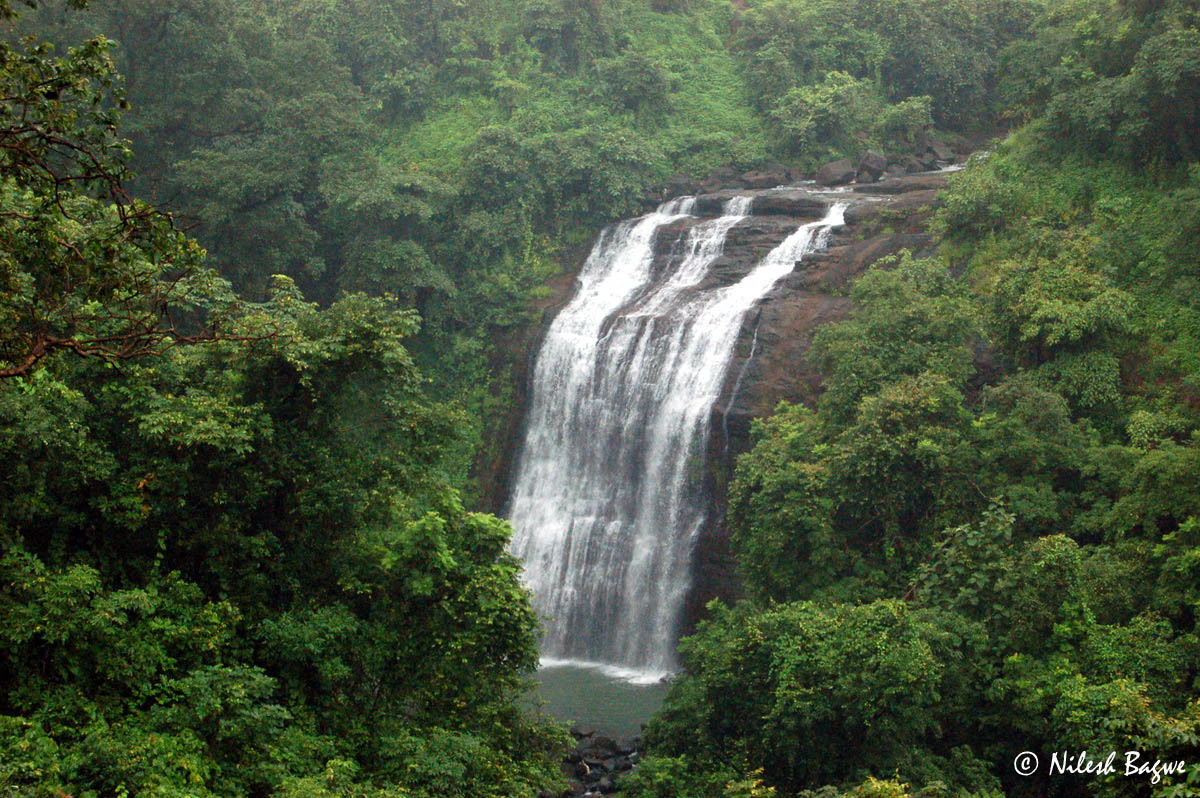 DSC_0003 Dsc 0003
