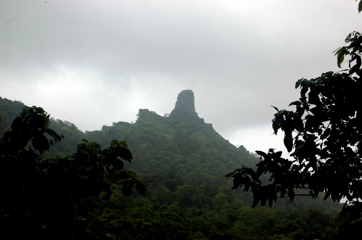 DSC_0016 Dsc 0016