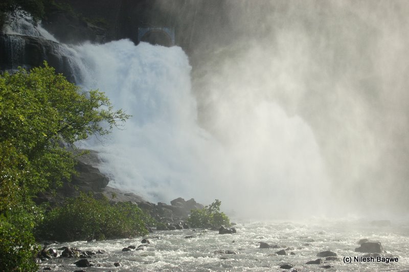 DSC_0041 Dsc 00413