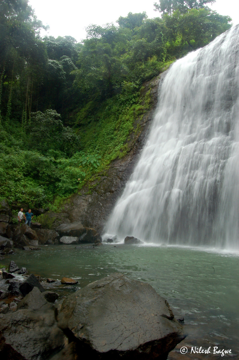DSC_0050 Dsc 0050