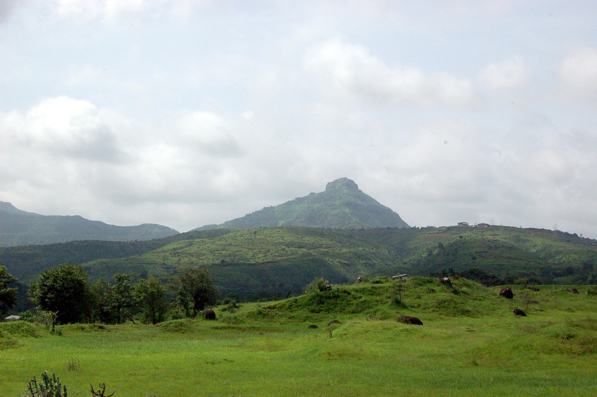 DSC_0378 Dsc 0378