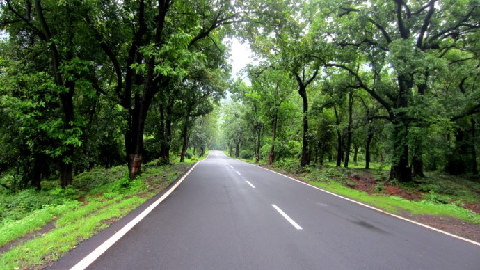 Malshej Ghat Butter smooth NH222