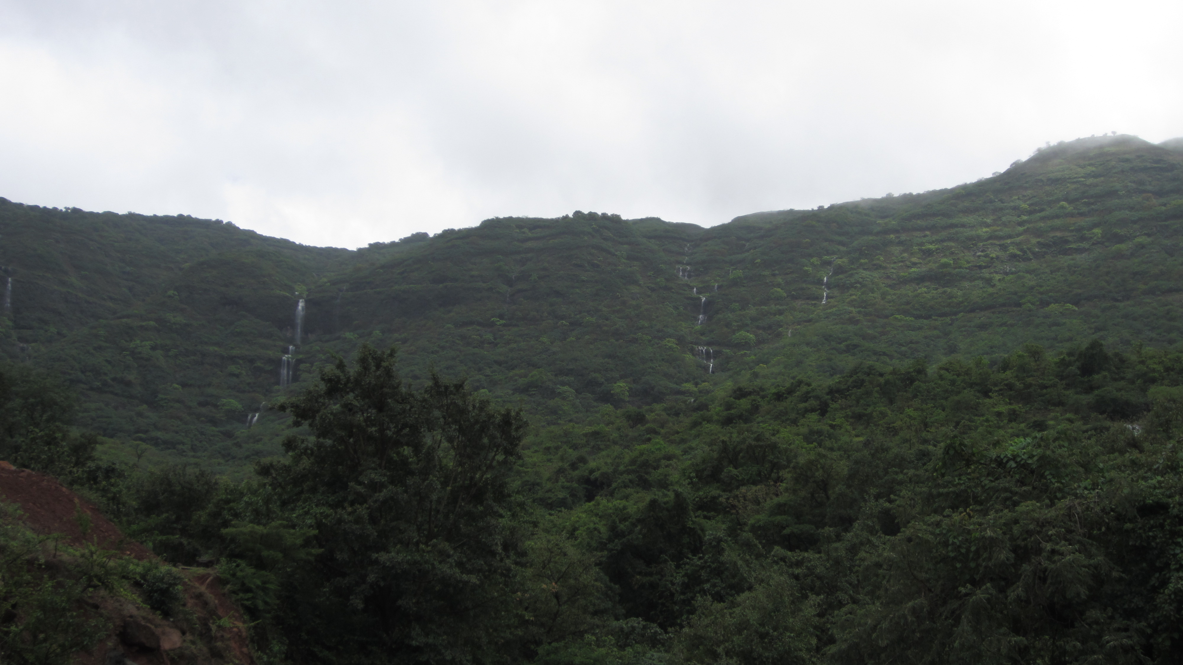 Tamhini Ghat IMG_4878