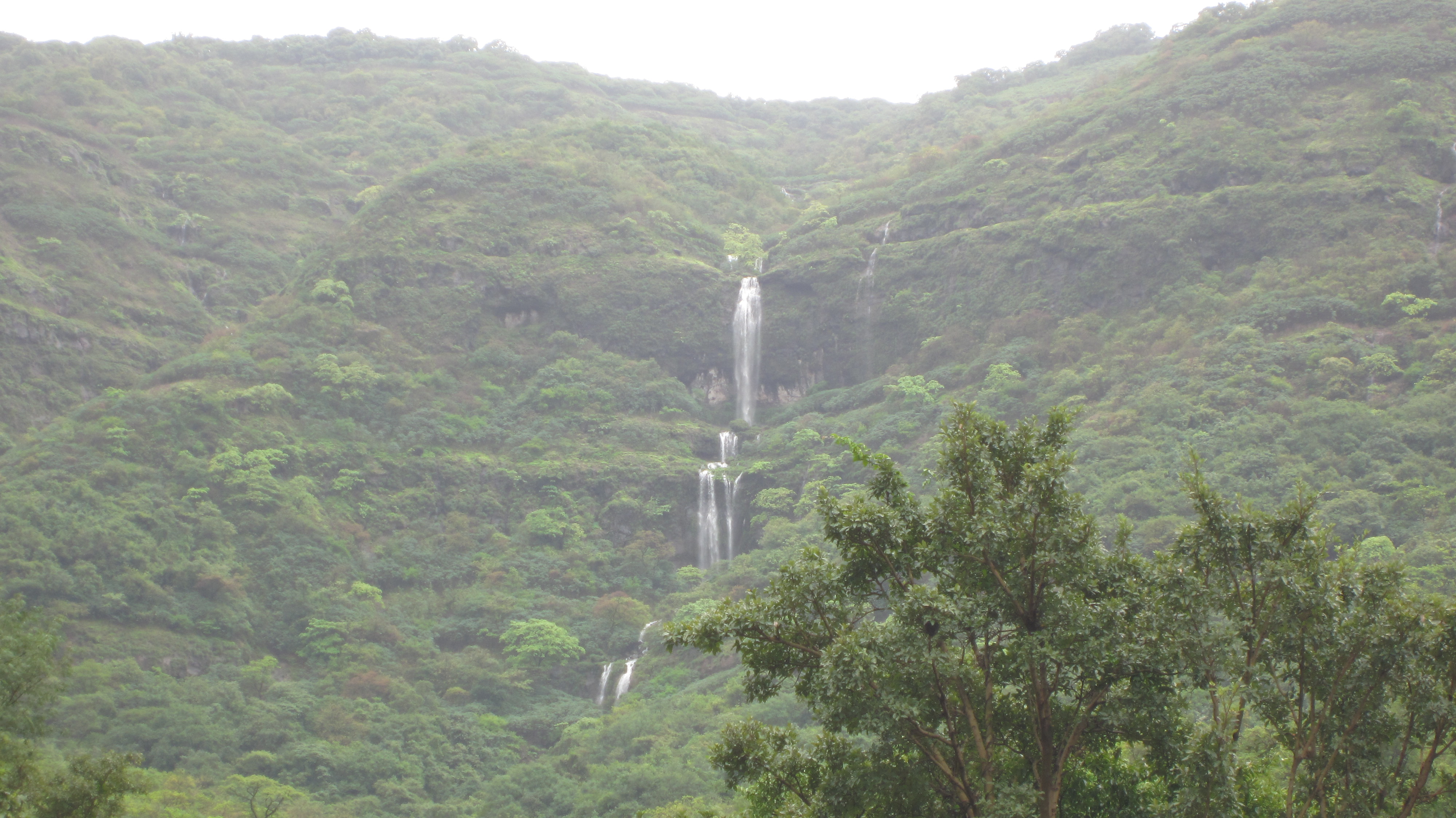 Tamhini Ghat IMG_4879