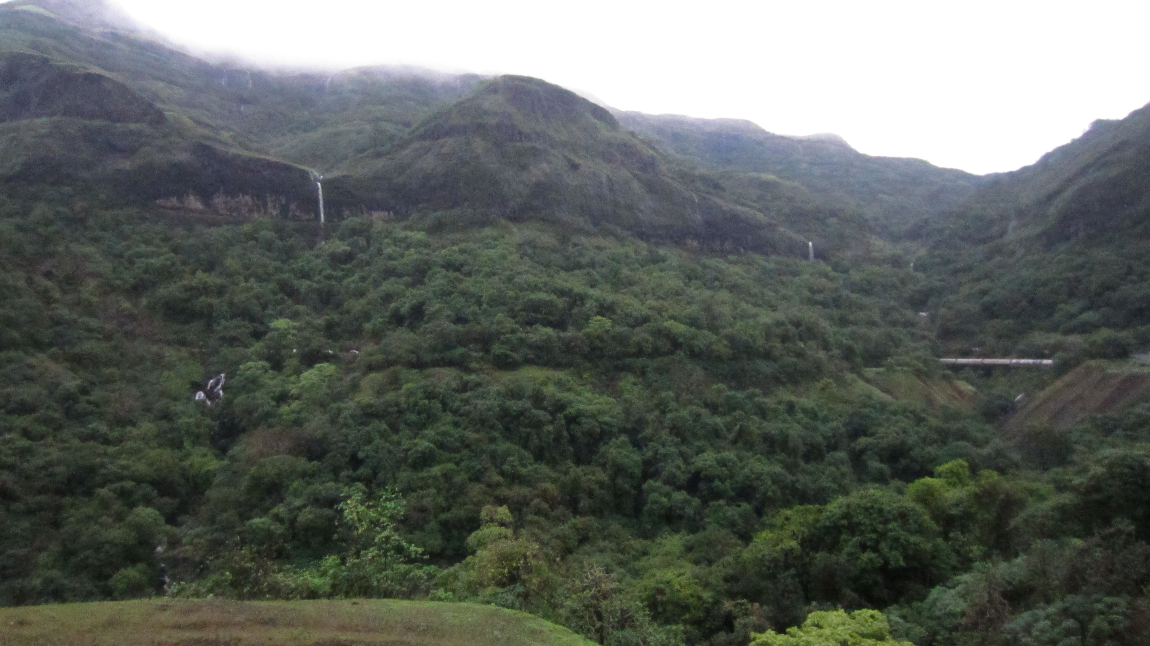 Tamhini Ghat IMG_4944