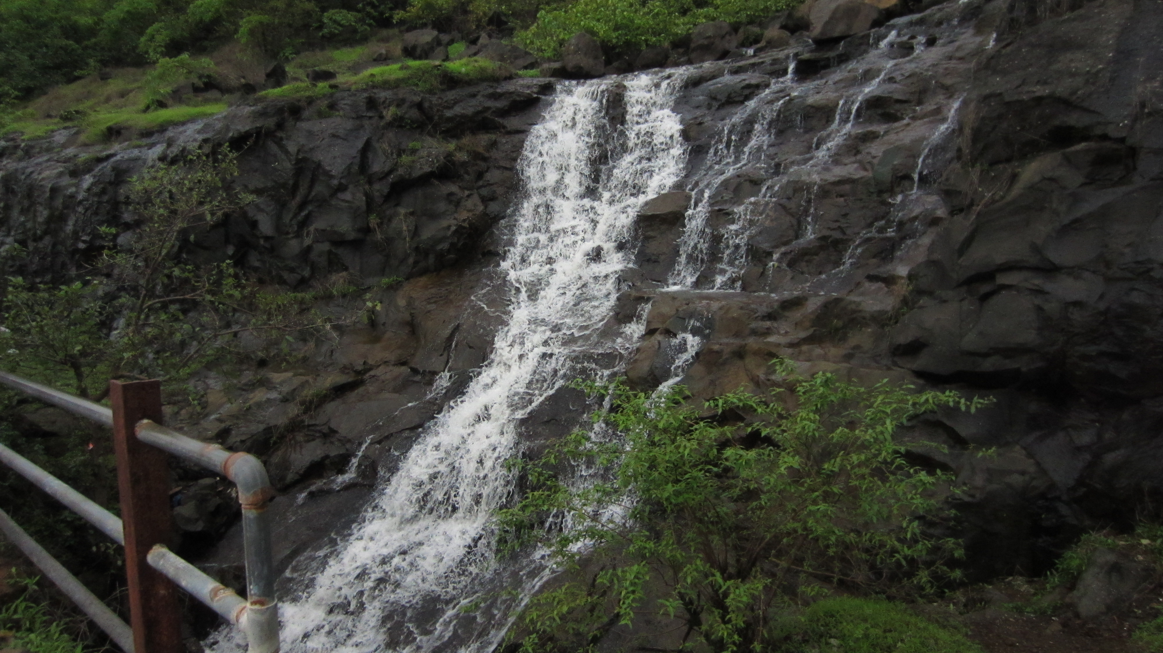 Tamhini Ghat IMG_4955