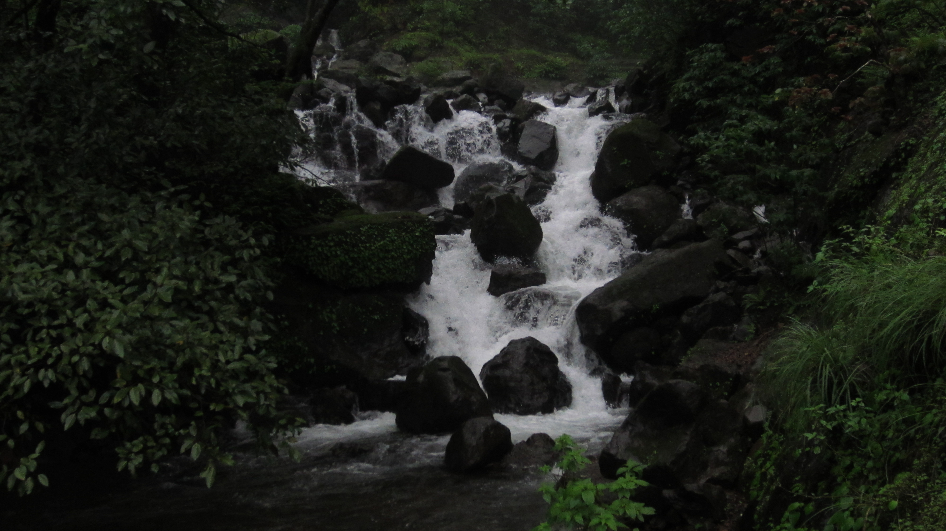 Tamhini Ghat IMG_4969