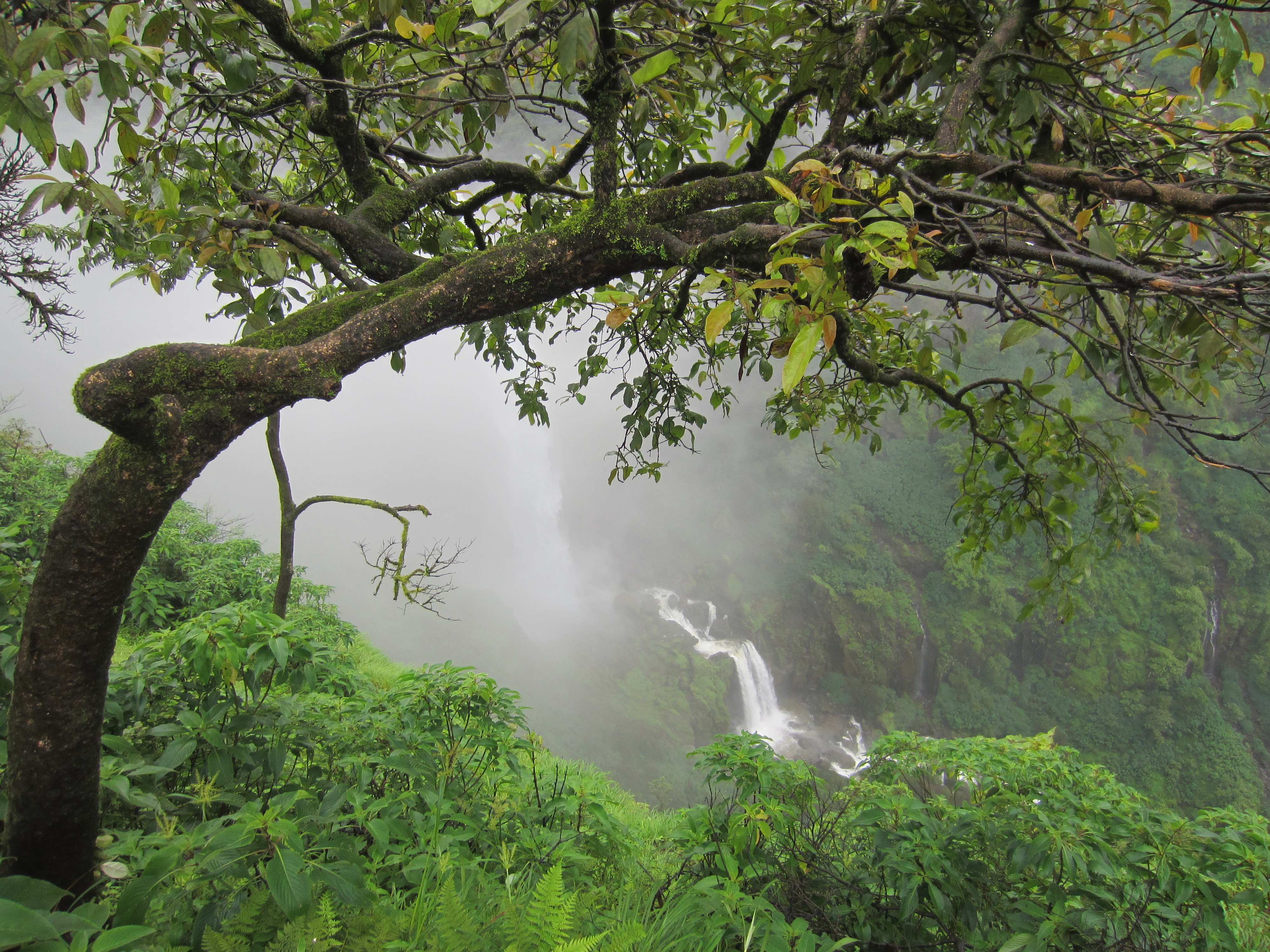 Panchgani Lingmala Falls