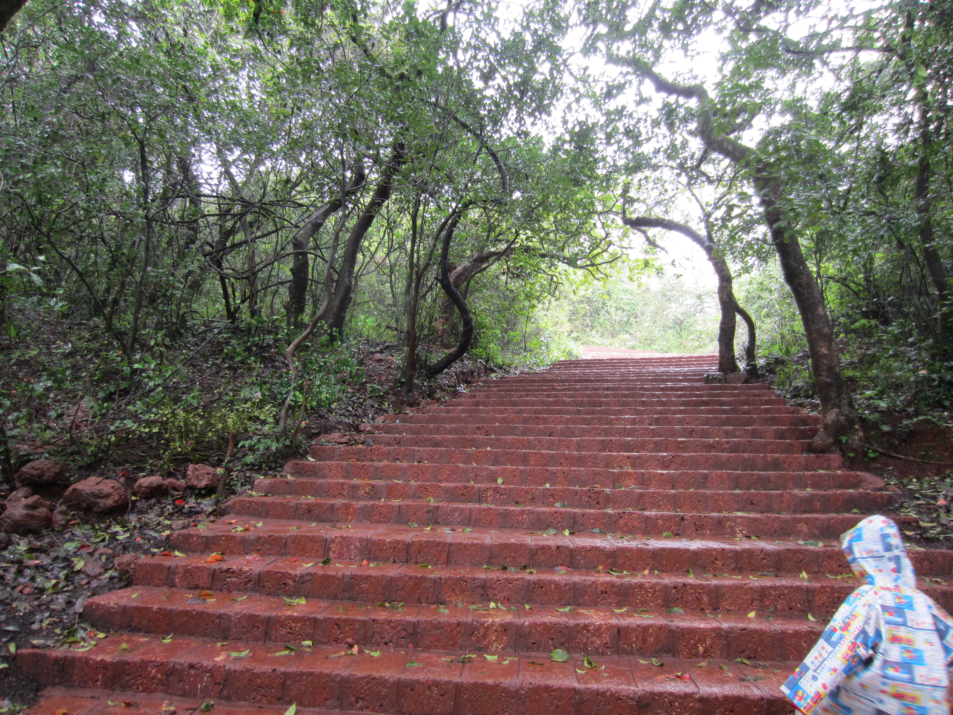 Panchgani Well paved path for Lingmala Falls
