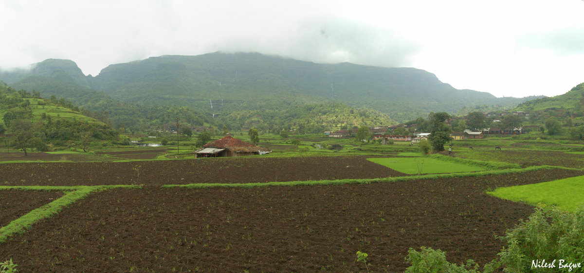 pano3-1 1 Pano3 1