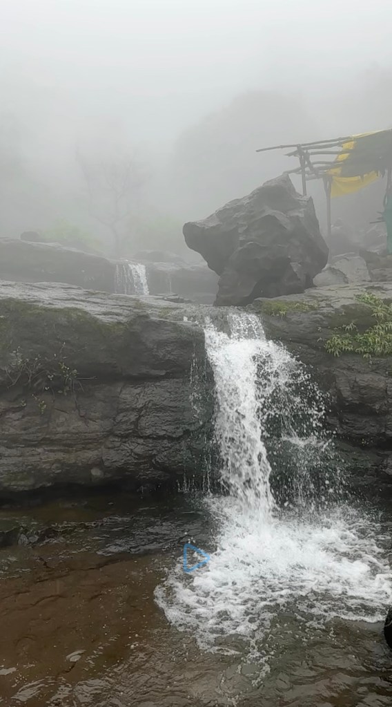 Aadrai Jungle Trek b01626d0 b8e6 4136 a847 52de6ec472e8