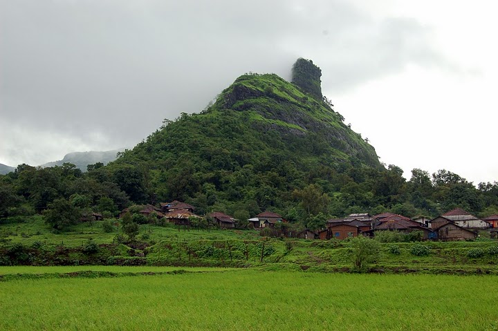 dsc 0096
