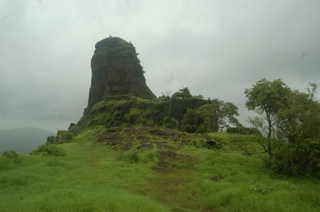 dsc 0118