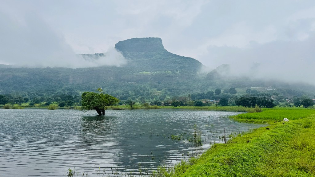 Aadrai Jungle Trek Img 2149