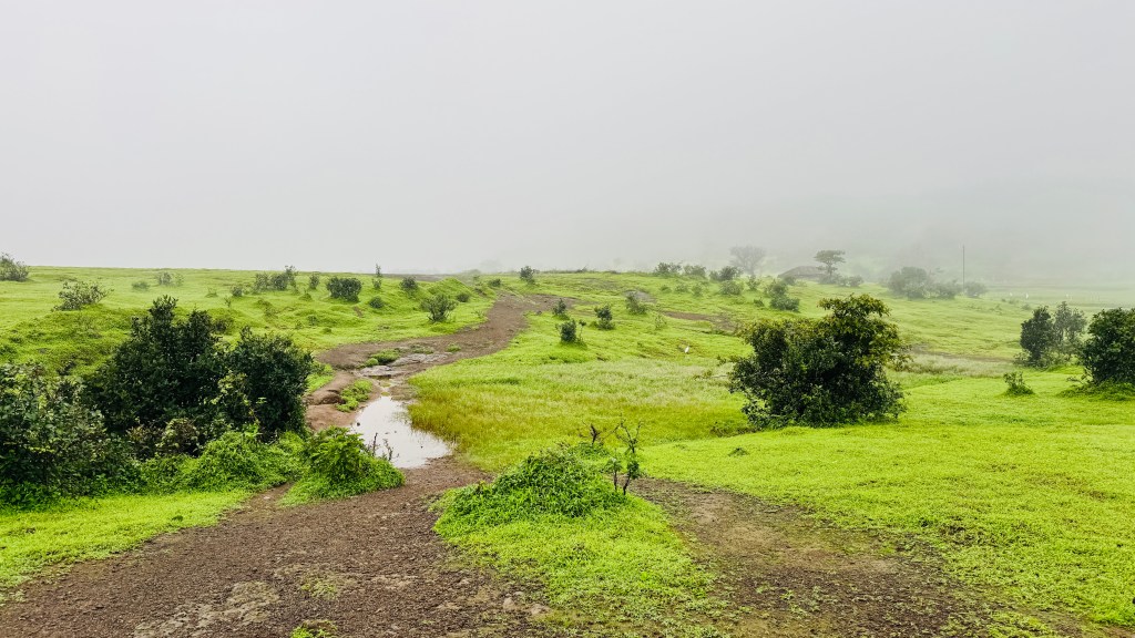 Aadrai Jungle Trek Img 2201