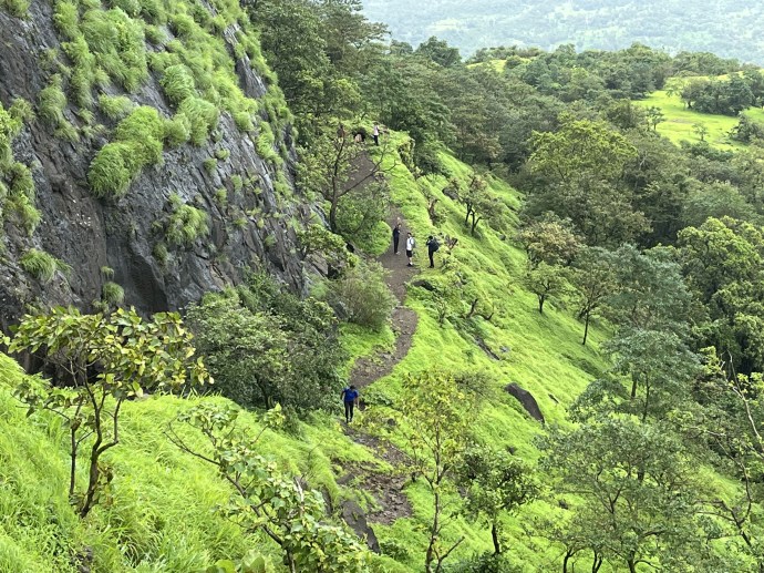 Kohoj Img 2289 2