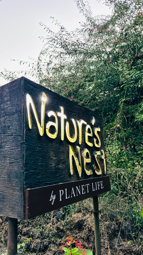 Nature's Nest Goa Img 3394