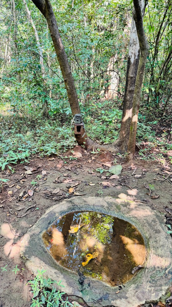 Nature's Nest Goa Img 3459